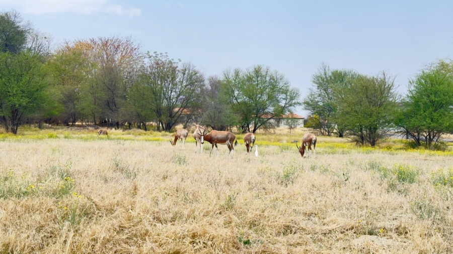 3 Bedroom Property for Sale in Ngwenya River Estate North West